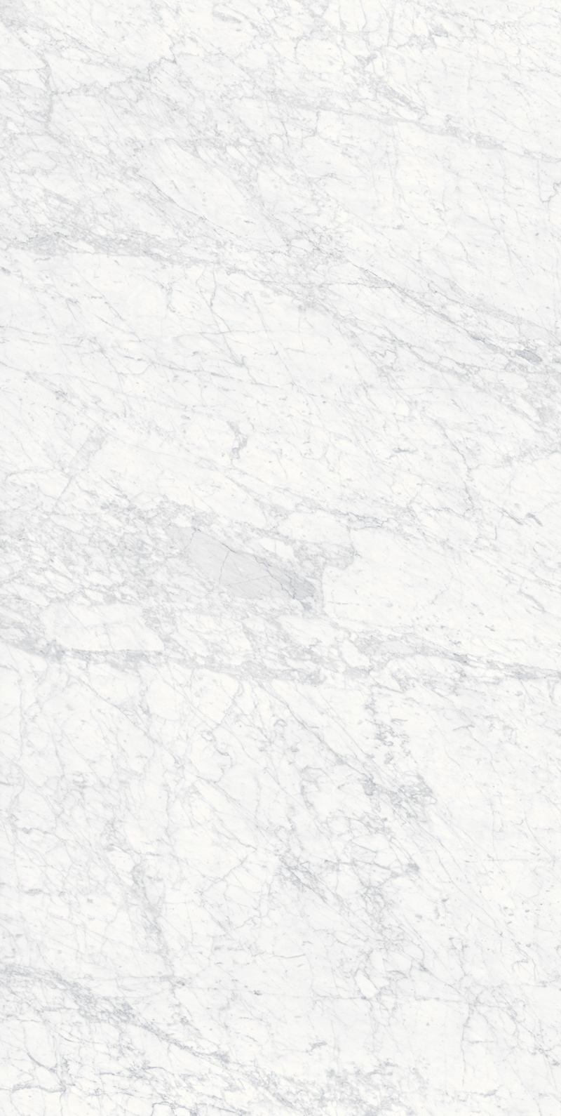 Bianco Gioia 19 Slab 12mm B 2