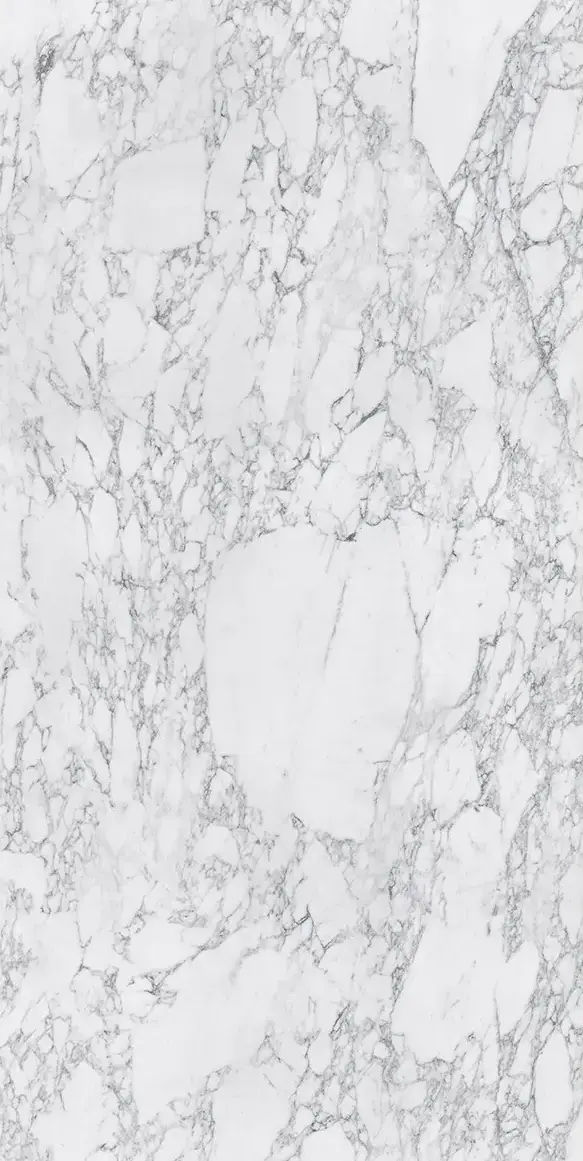Arabescato Vagli Sintered Slabs zoom from anatolia 2